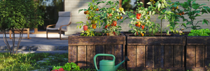 Endlich wieder Gartenzeit! Urban Gardening mit Die Holzwarenfabrik