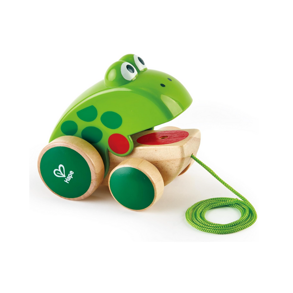 Hape Nachziehfrosch Fridolin von Hape | Holzfrosch Fliegen fressendes Nachzieh-Spielzeug für Kleinkinder, leuchtende Farben