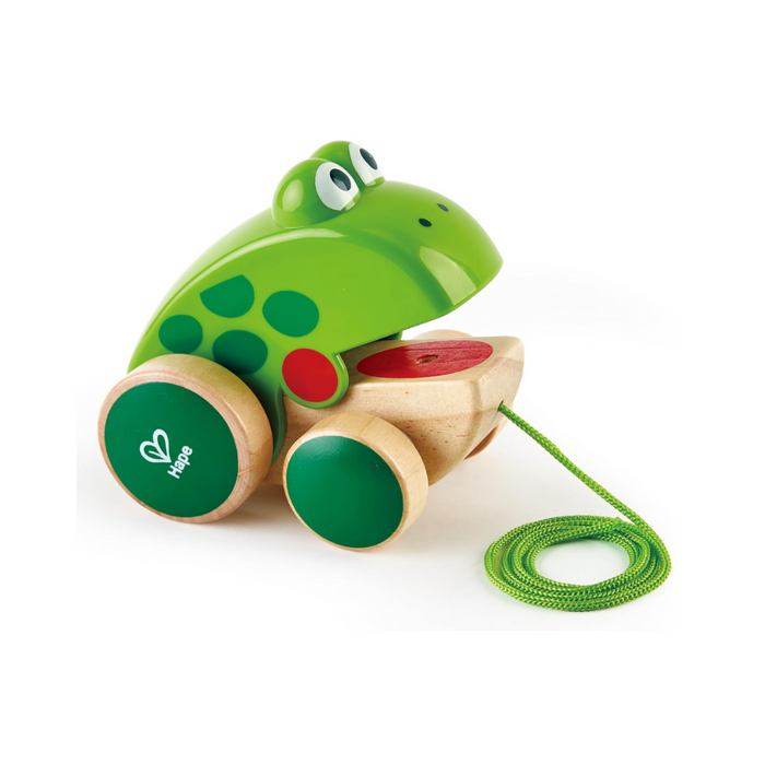 Hape Nachziehfrosch Fridolin von Hape | Holzfrosch Fliegen fressendes Nachzieh-Spielzeug für Kleinkinder, leuchtende Farben