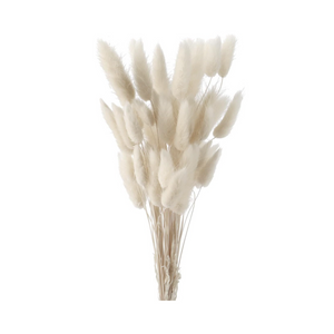 Pampasgras Getrocknet Trockenblumen, 45cm 50 Stück Getrocknete Natürliche Pampasgras Pflanzen Flauschige Trockenblumen (Weiss)