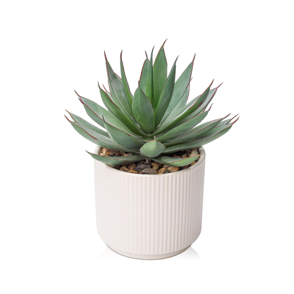 Sukkulenten Pflanzen Künstliche Aloe Vera Pflanze, Faux Sukkulenten in Keramiktopf