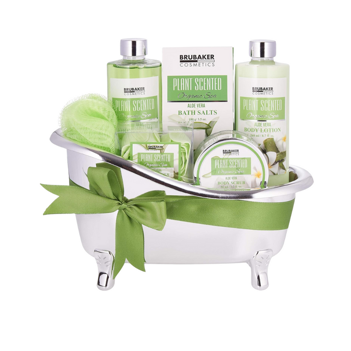 BRUBAKER - Cosmetics Bade- und Dusch Set Aloe Vera