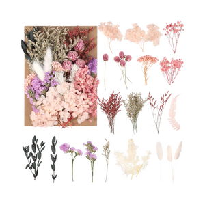 Heyu-Lotus - Natürliche getrocknete Blumen