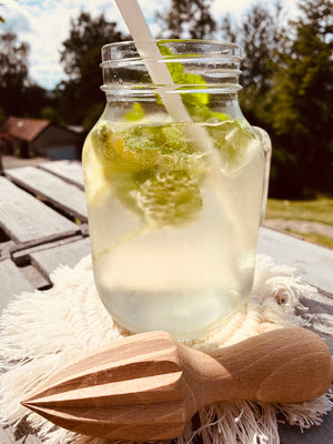 Die Holzwarenfabrik Zitronenpressen aus Holz vor Limonadenglas