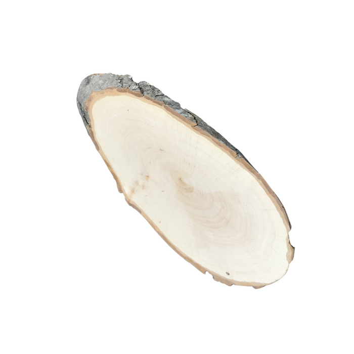 Rindenscheibe aus Erle oval, ca. 50-60 cm lang